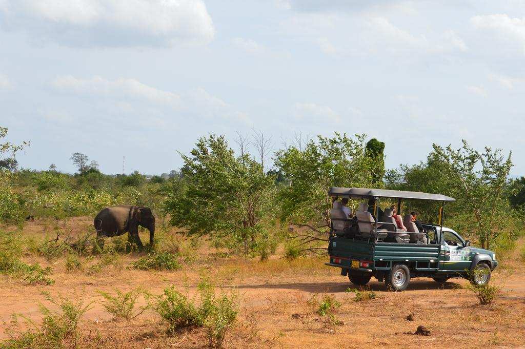 Wild Panthera Yala Tissamaharama Luaran gambar