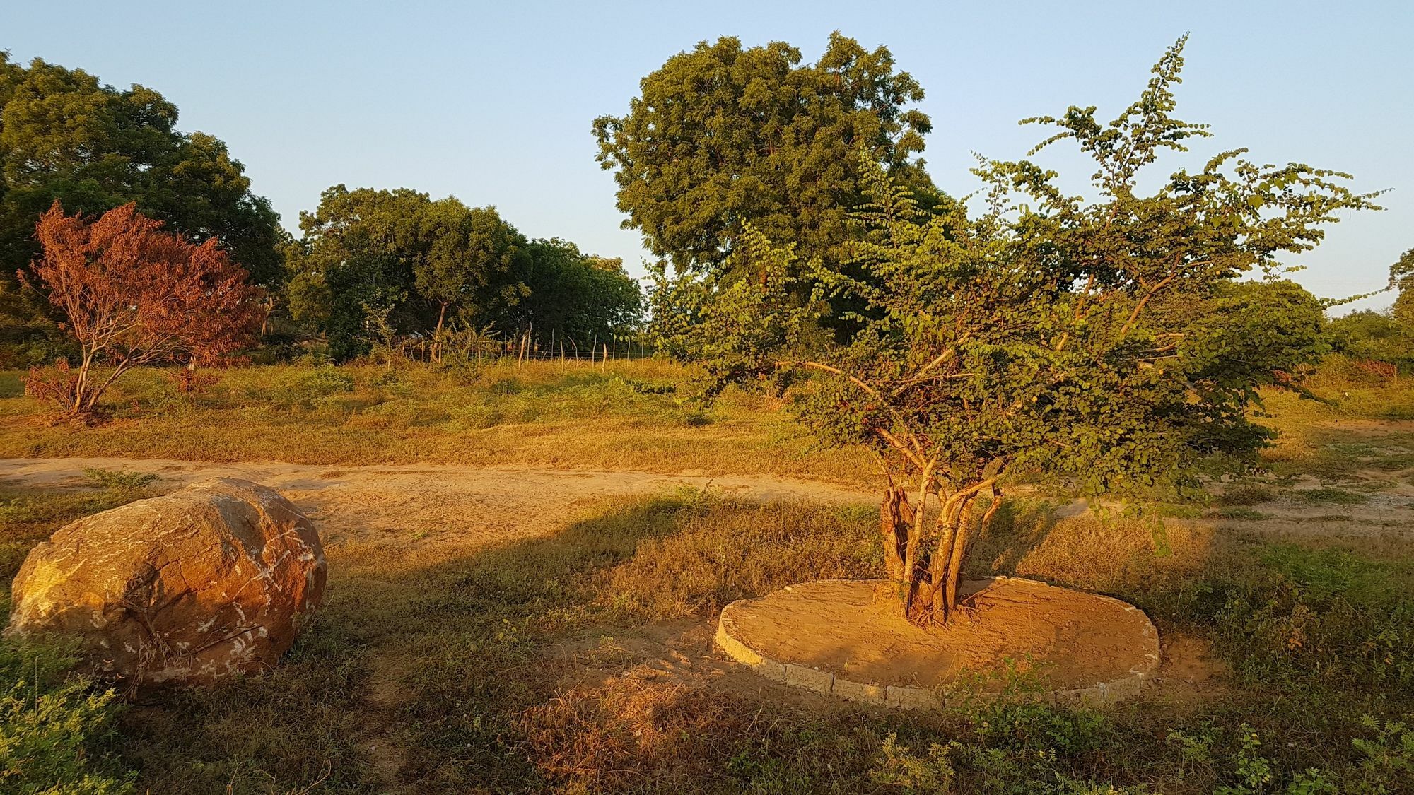 Wild Panthera Yala Tissamaharama Luaran gambar
